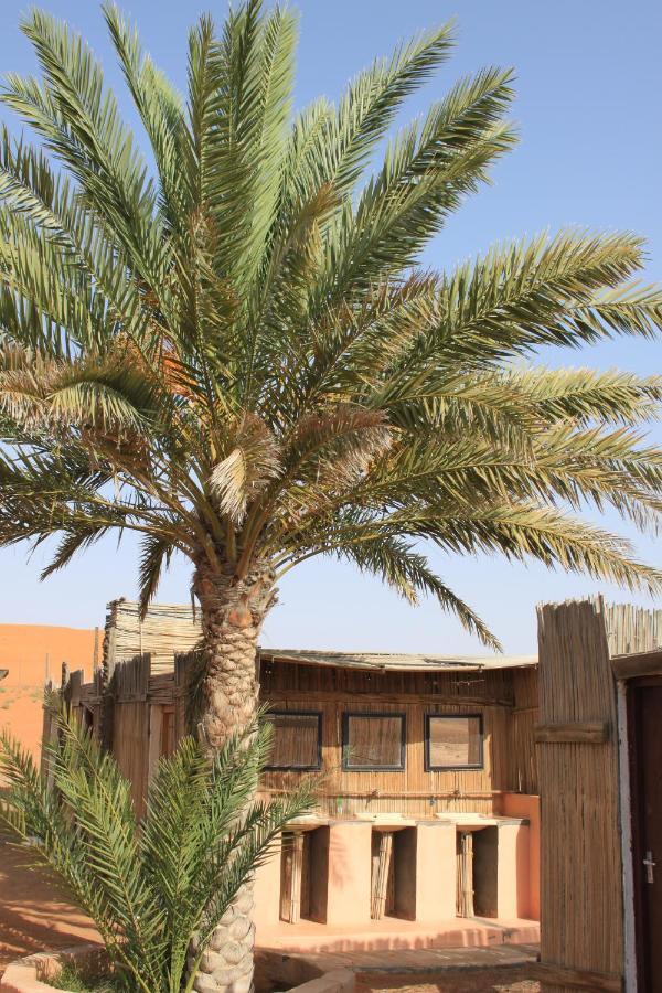 Nomadic Desert Camp 알 와실 외부 사진